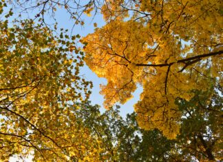 We are Drowned in Information, but we are Starved of Wisdom!