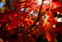 Life is all about the exchange of Values!