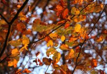 Stop the Excuses & change old Habits!