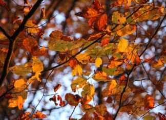 Stop the Excuses & change old Habits!