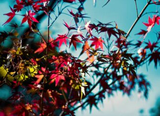 The Power of our Sub-Conscious Mind: the ‘God’ within