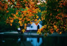 No one expects us to become Super Human beings!