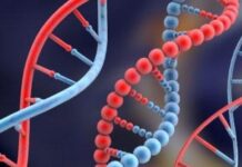 Genomics – This New Career in Bio-Science Will Open The Floodgates For You