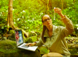 Potential of Computer Vision Technology in Environmental Conservation environmental conservation