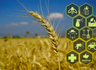 The Potential of Computer Vision in Agriculture.