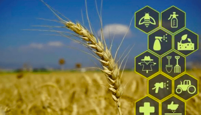 The Potential of Computer Vision in Agriculture.